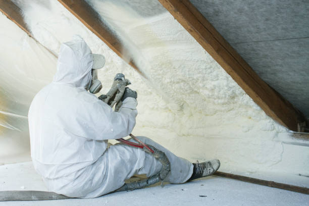 Best Insulation for New Construction  in Mlstadt, IL